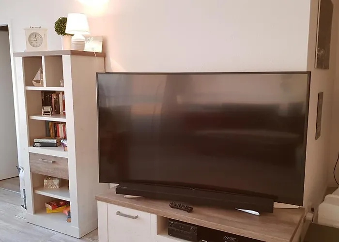 Ostseefjord-schlei-blick Im Wikingturm * Schleswig